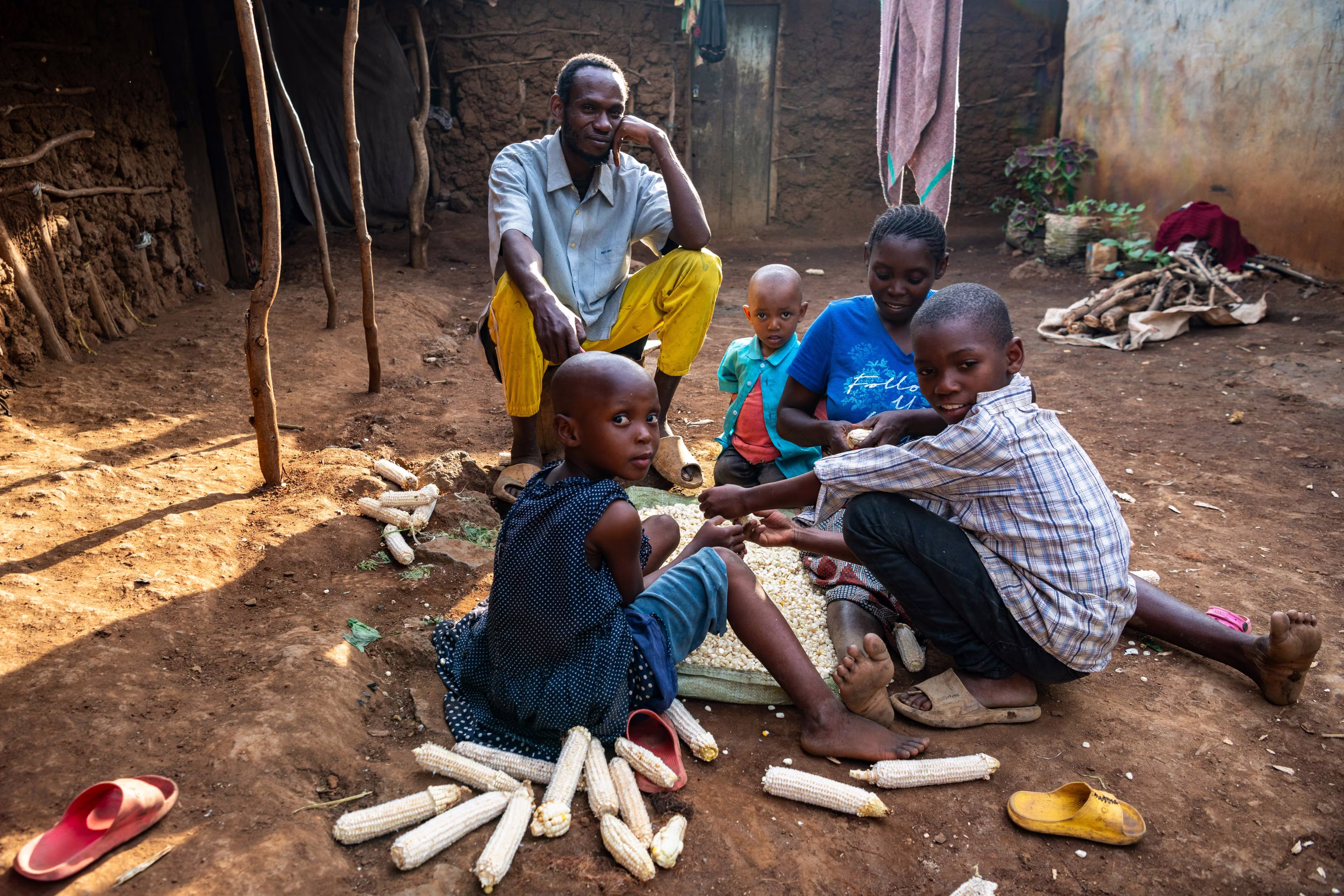 Le maïs, la cour, la famille