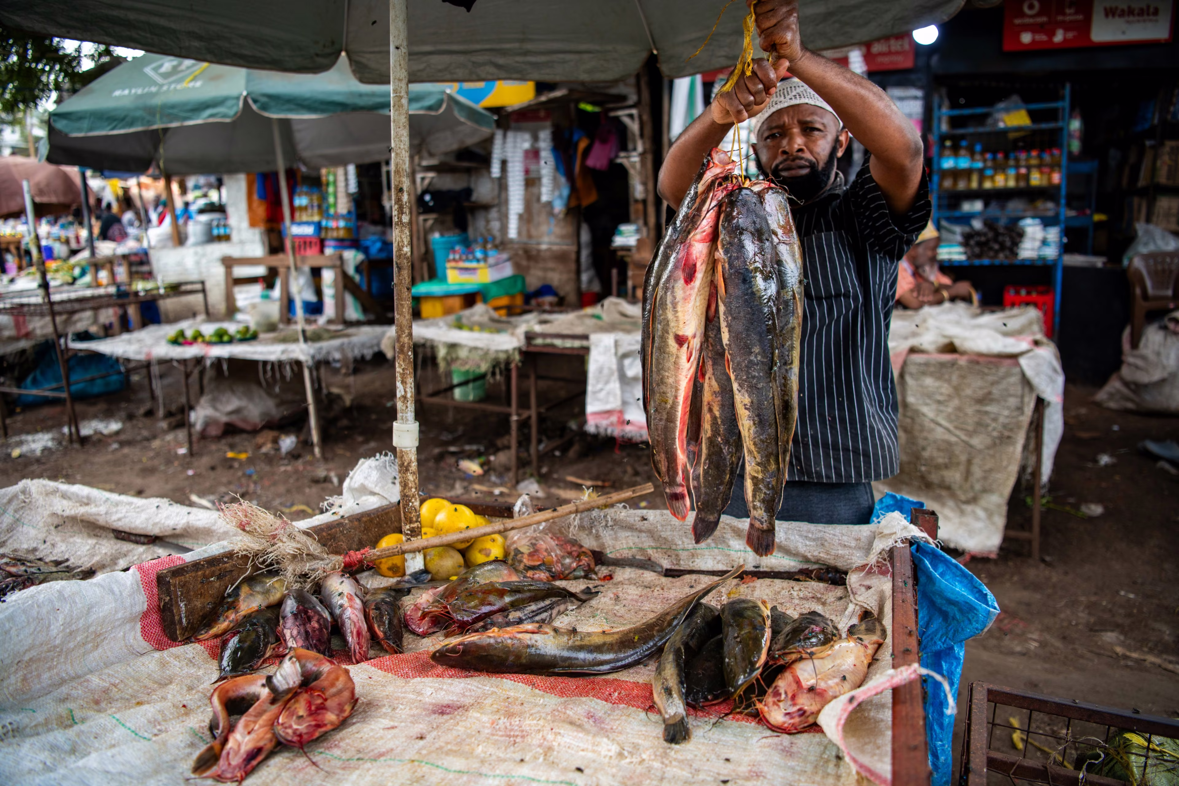 Le marché de Moshi : le poisson du jour
